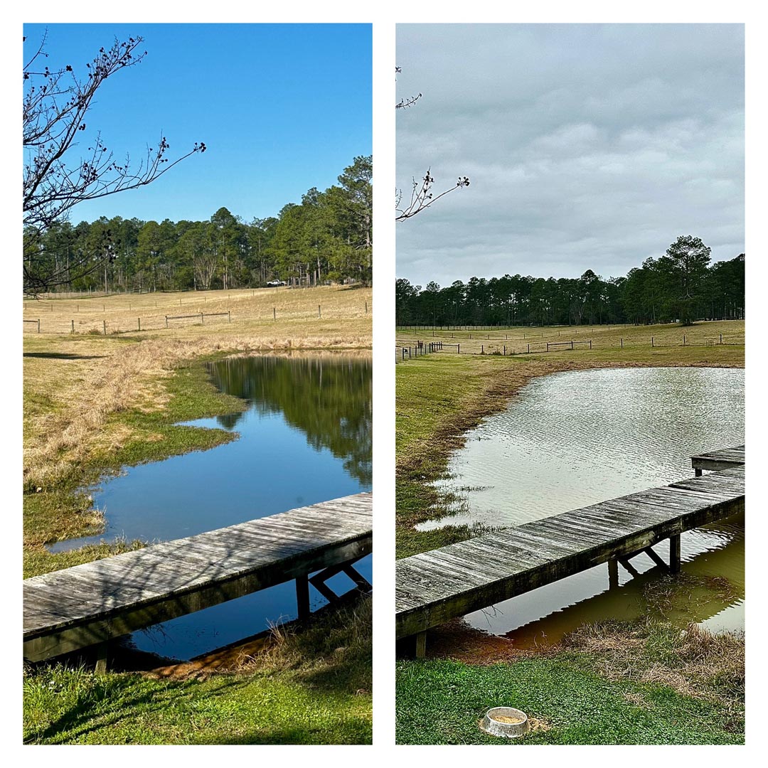 Pond Restoration 1 Pond Restoration_Dynamic Habitat Solutions_Mc David_Florida